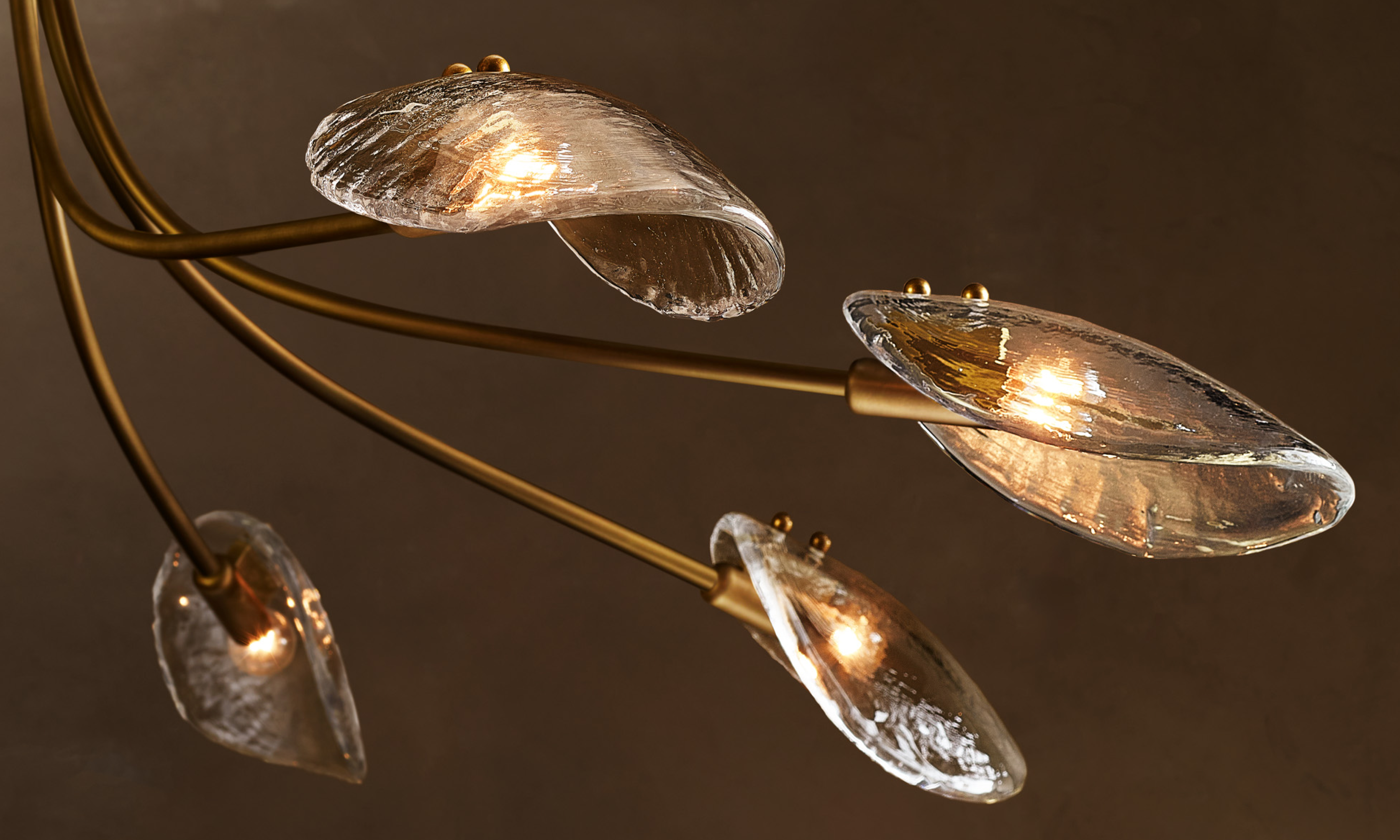 Closeup shot of Shell Round Chandelier